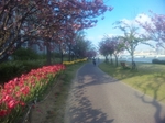 110505_164459.jpg