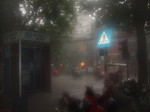 ベトナム2009 106.jpg