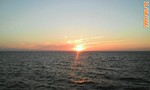 D1000105.jpg