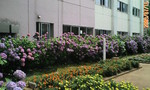 D1000124.jpg