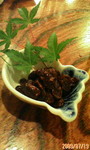 D1000126.jpg