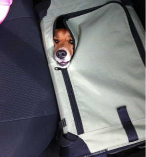 image-20130821165731.png